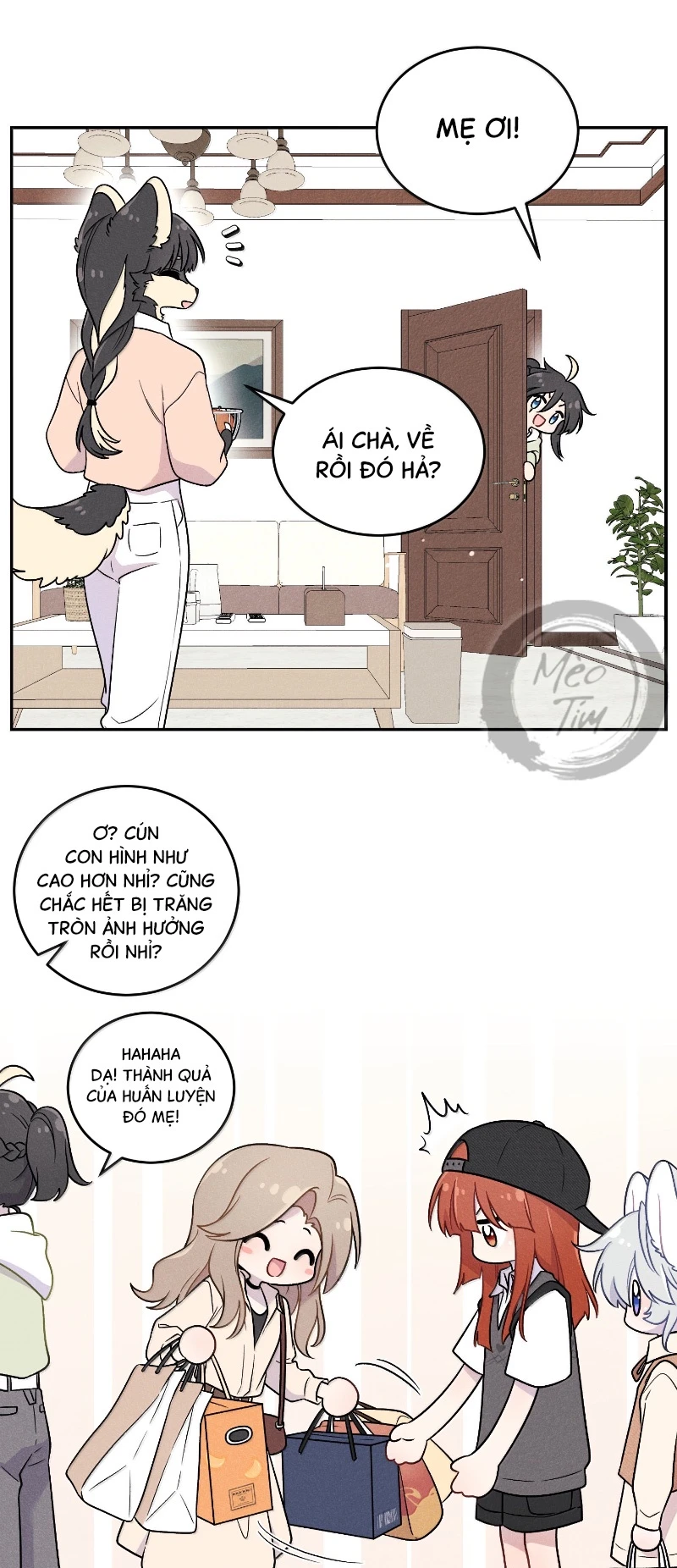 Đồ ăn của ta trông thật đáng yêu Chapter 211 - 8