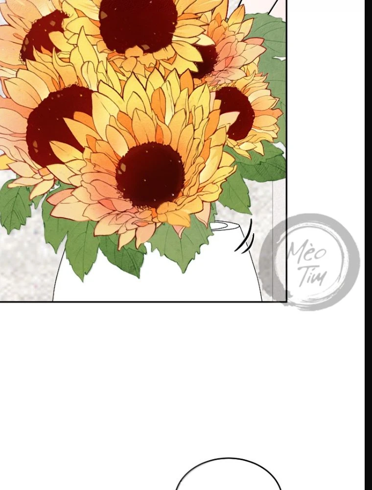 Đồ ăn của ta trông thật đáng yêu Chapter 216 - 20