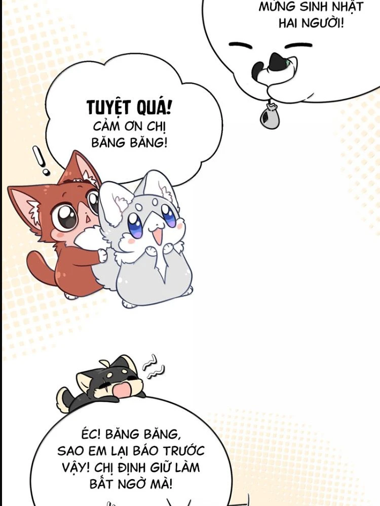 Đồ ăn của ta trông thật đáng yêu Chapter 223 - 11