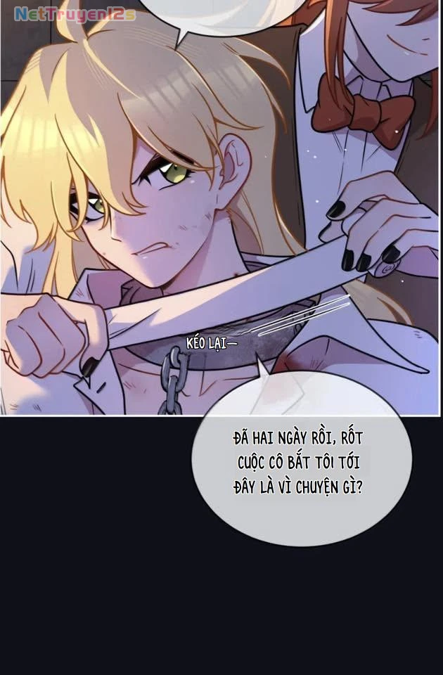 Đồ ăn của ta trông thật đáng yêu Chapter 227 - 12
