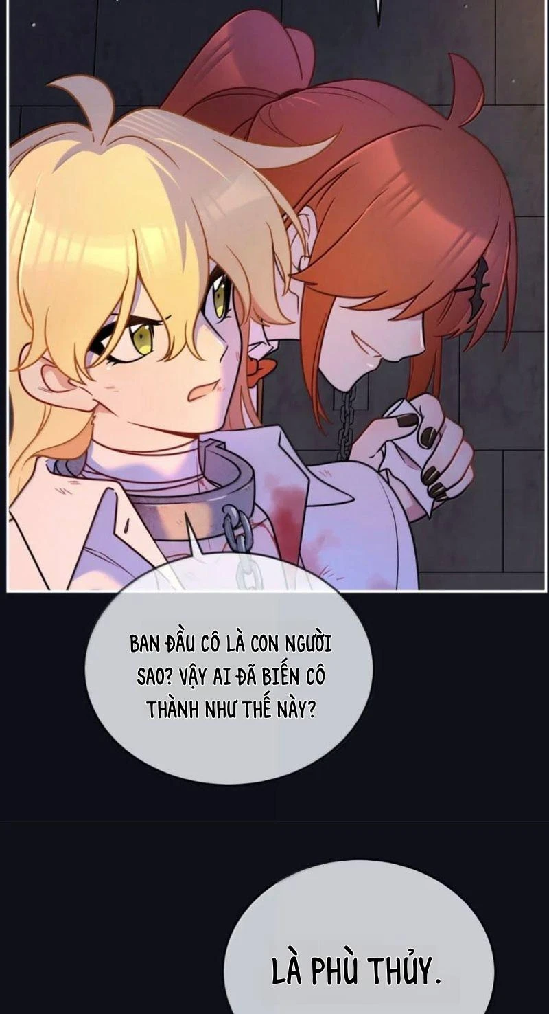 Đồ ăn của ta trông thật đáng yêu Chapter 227 - 17