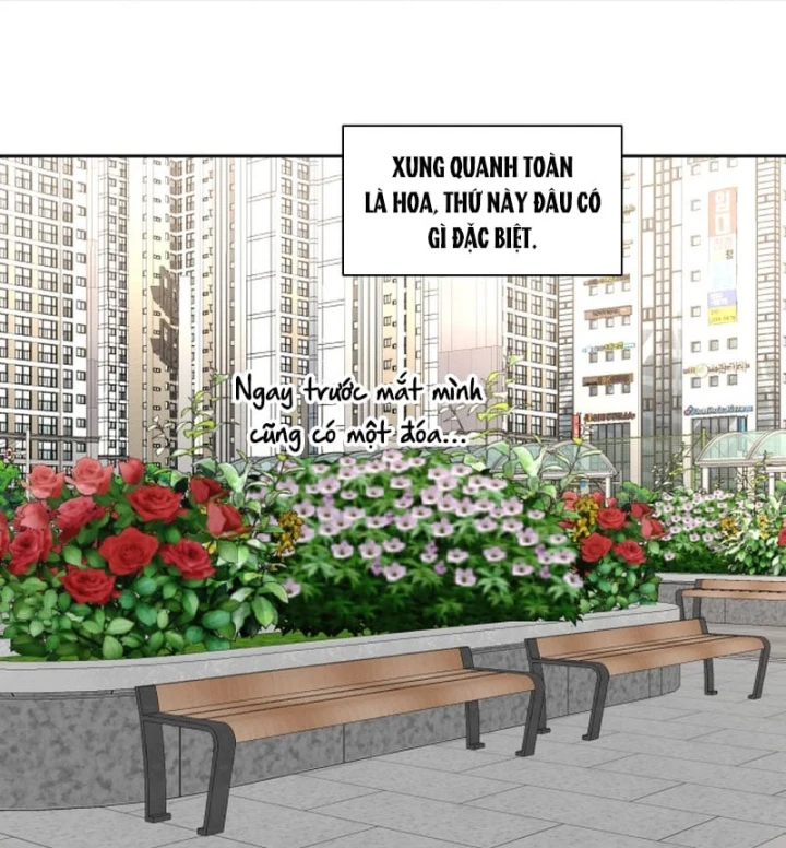 Xin Người Đừng Chết Chapter 18 - 81