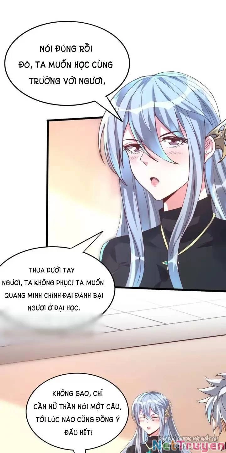 Linh Khí Khôi Phục: Ta Mỗi Ngày Thu Được Một Cái Kỹ Năng Mới Chapter 20 - 3