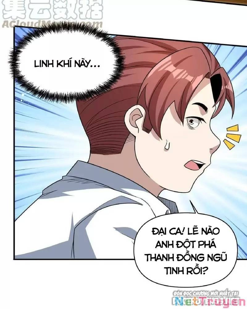 Linh Khí Khôi Phục: Ta Mỗi Ngày Thu Được Một Cái Kỹ Năng Mới Chapter 33 - 23