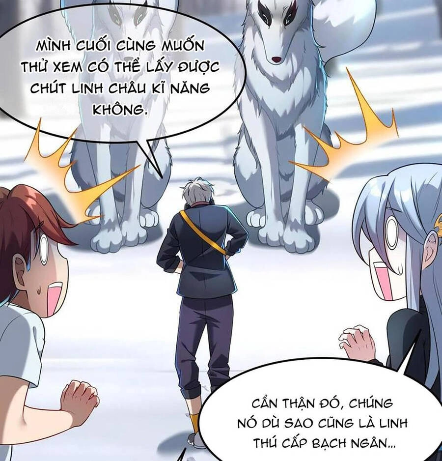 Linh Khí Khôi Phục: Ta Mỗi Ngày Thu Được Một Cái Kỹ Năng Mới Chapter 39 - 36