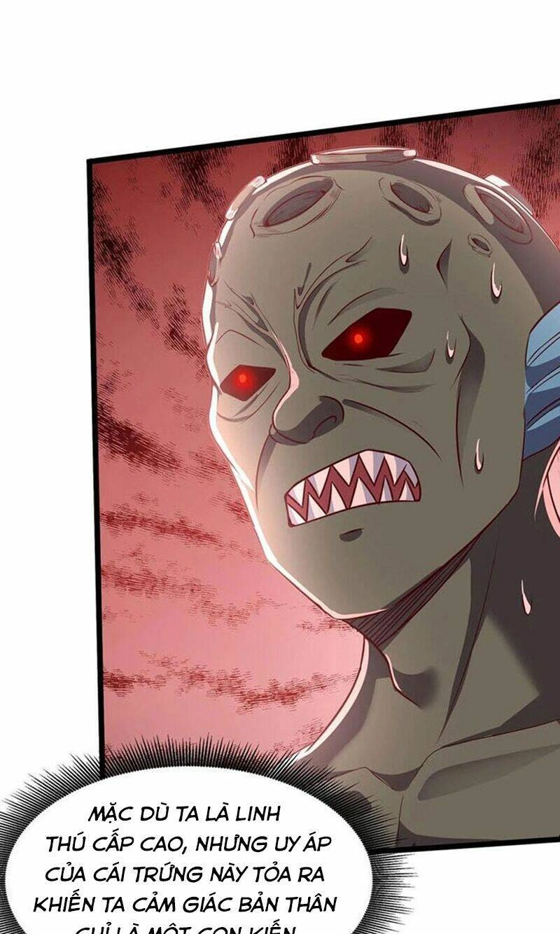 Linh Khí Khôi Phục: Ta Mỗi Ngày Thu Được Một Cái Kỹ Năng Mới Chapter 187 - 13