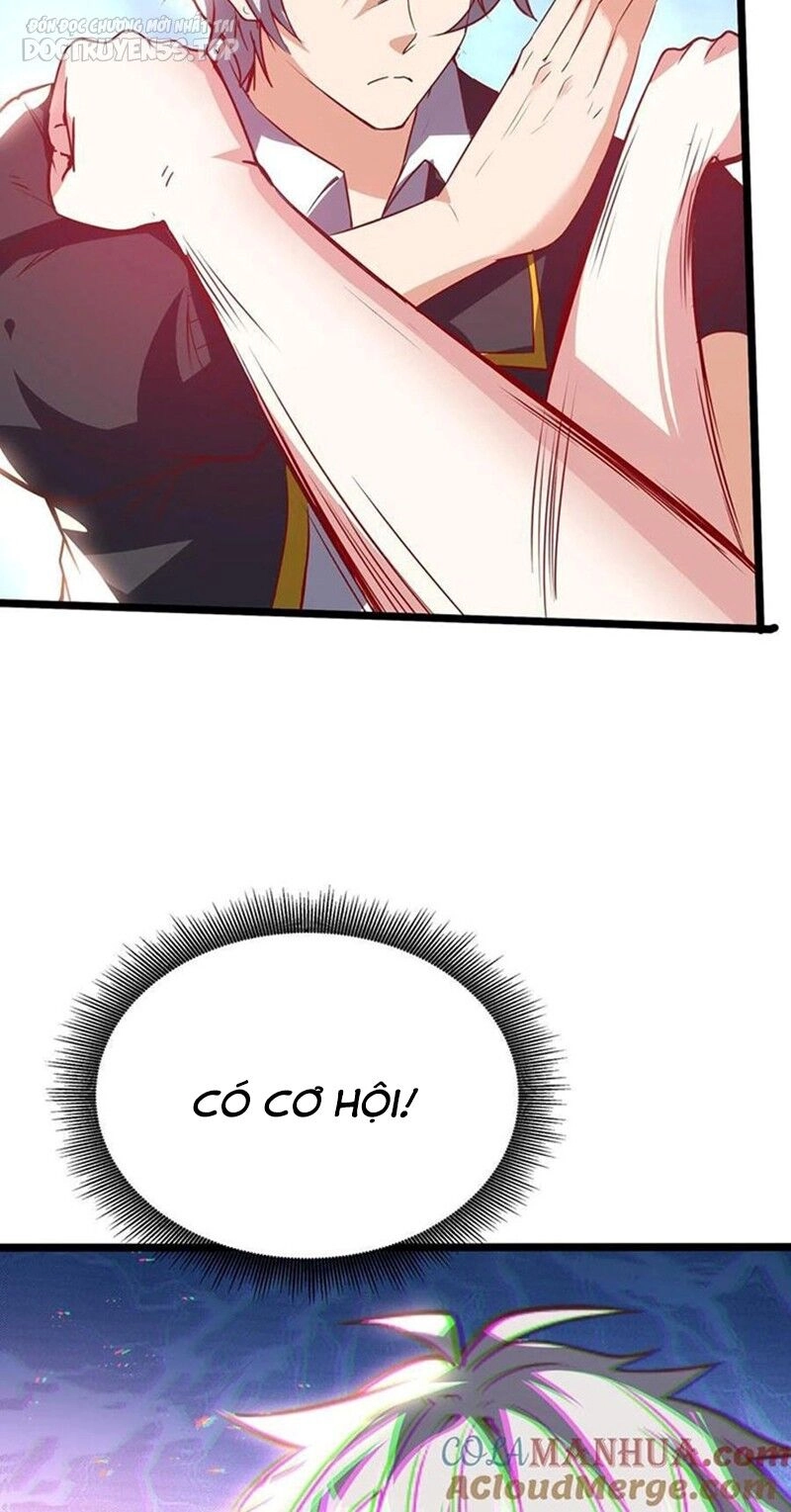 Linh Khí Khôi Phục: Ta Mỗi Ngày Thu Được Một Cái Kỹ Năng Mới Chapter 204 - 13