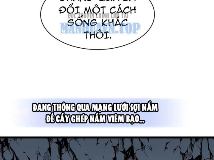 Trùng Sinh Bắt Đầu Từ Cây Nấm Chapter 5 - 12