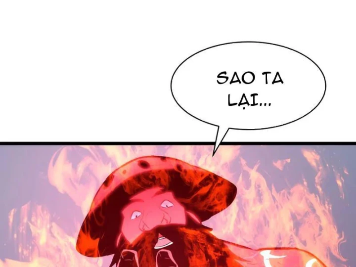 Trùng Sinh Bắt Đầu Từ Cây Nấm Chapter 5 - 23