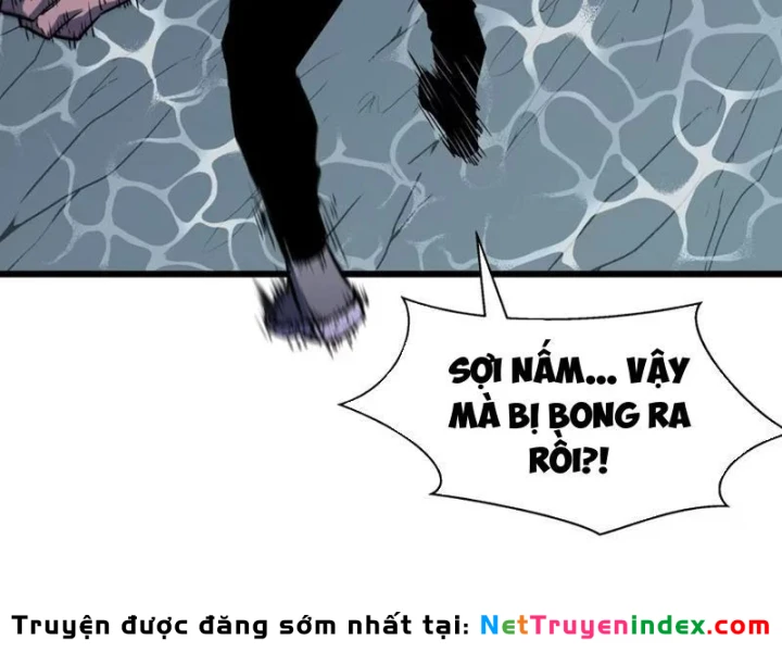 Trùng Sinh Bắt Đầu Từ Cây Nấm Chapter 7 - 43