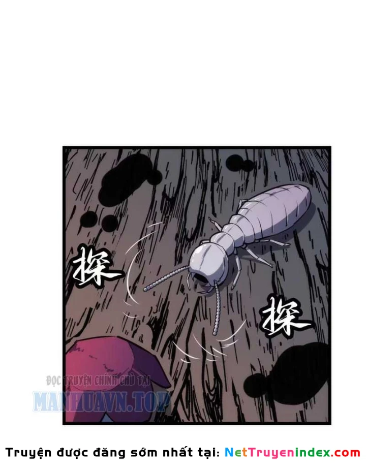 Trùng Sinh Bắt Đầu Từ Cây Nấm Chapter 13 - 16