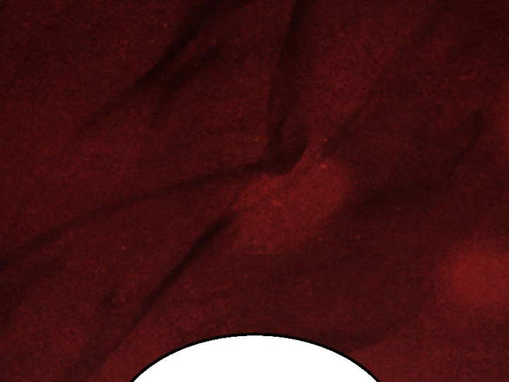 Tên Uchiha Này Quá Cẩn Thận Chapter 4 - 241