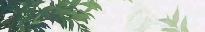 Nha Hoàn Mạnh Nhất Ma Giáo Chapter 15 - 6