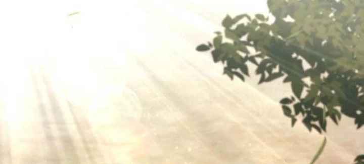 Đệ Nhất Sư Huynh Lee Hwi Chapter 16 - 21