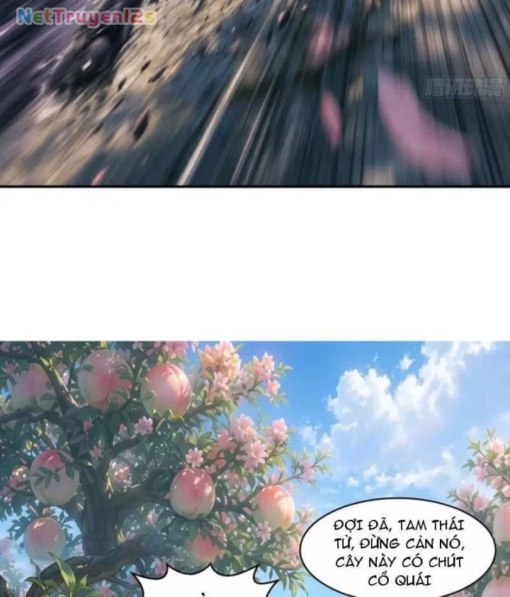 Ta Làm Bật Mã Ôn Tại Thiên Đình Chapter 22 - 48