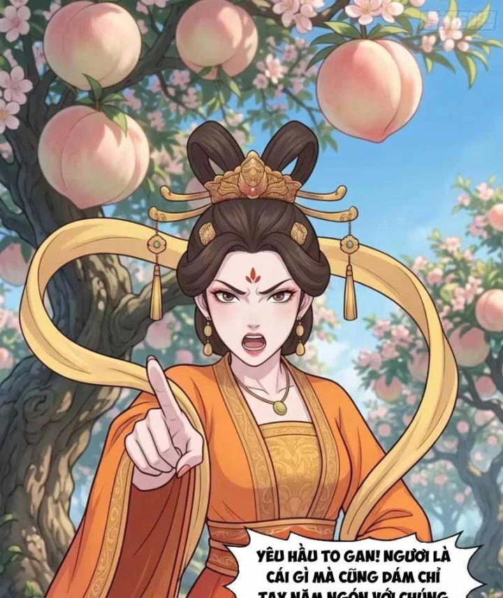 Ta Làm Bật Mã Ôn Tại Thiên Đình Chapter 24 - 12