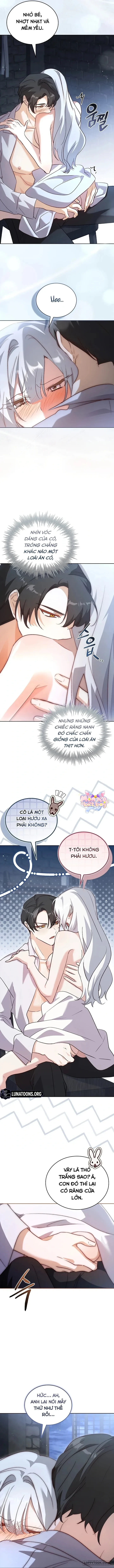 Tôi Đang Tìm Con Sói Đã Trêu Đùa Con Rắn Đen Chapter 5 - 11