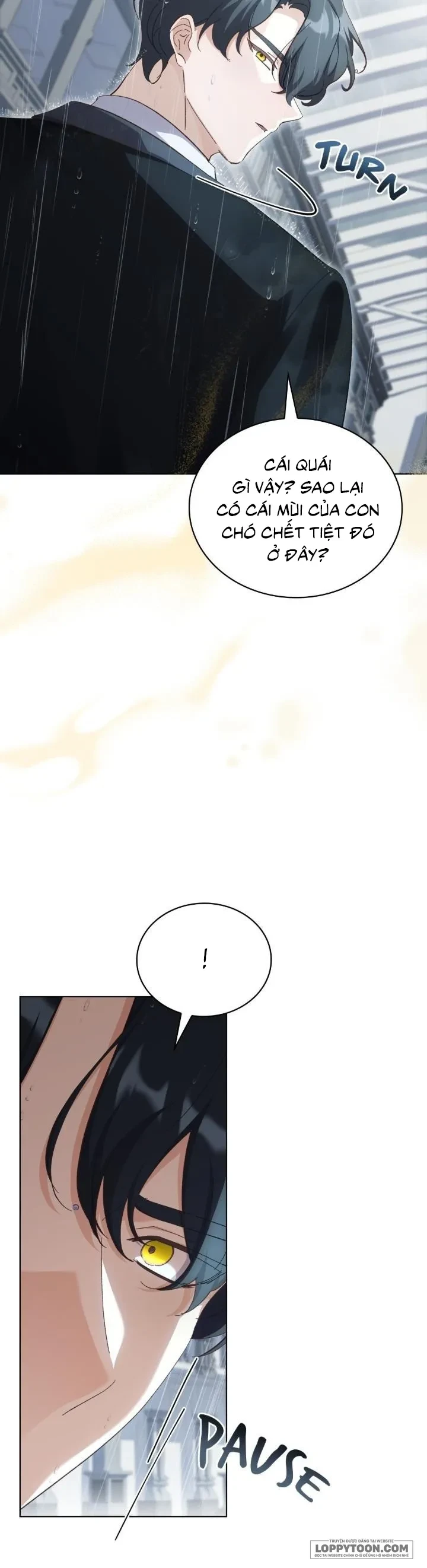 Tôi Đang Tìm Con Sói Đã Trêu Đùa Con Rắn Đen Chapter 20 - 8