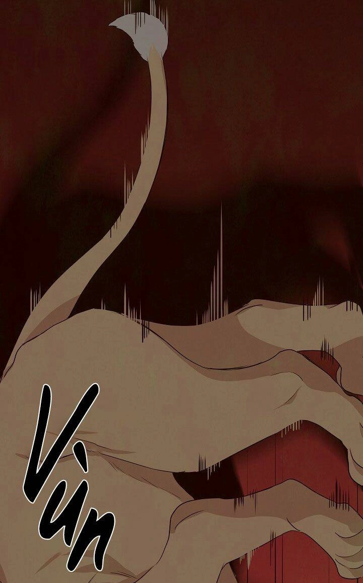 Tôi Không Phải Là Cinderella Chapter 16 - 10