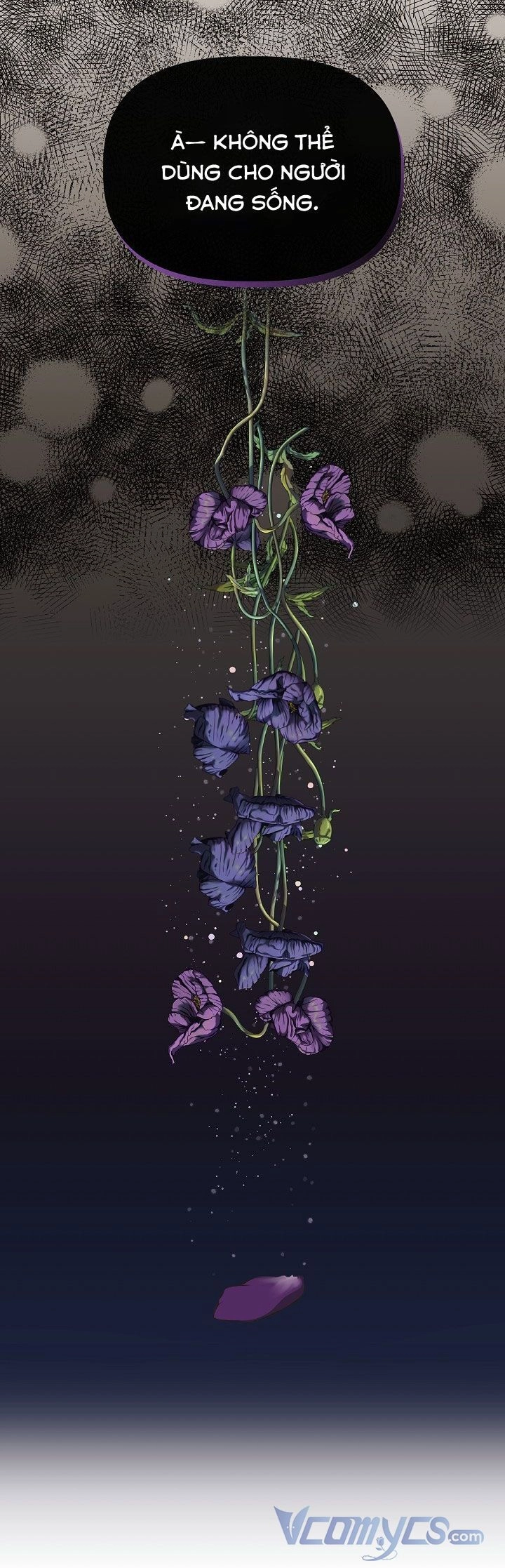 Tôi Không Phải Là Cinderella Chapter 73 - 78