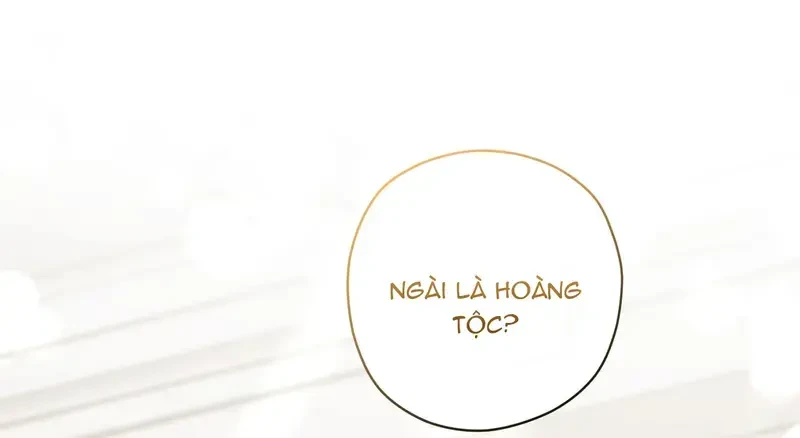 Kính Gửi Nhà Tài Trợ Ẩn Danh Đáng Kính Chapter 16 - 19