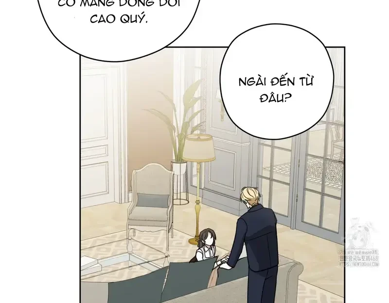Kính Gửi Nhà Tài Trợ Ẩn Danh Đáng Kính Chapter 16 - 26