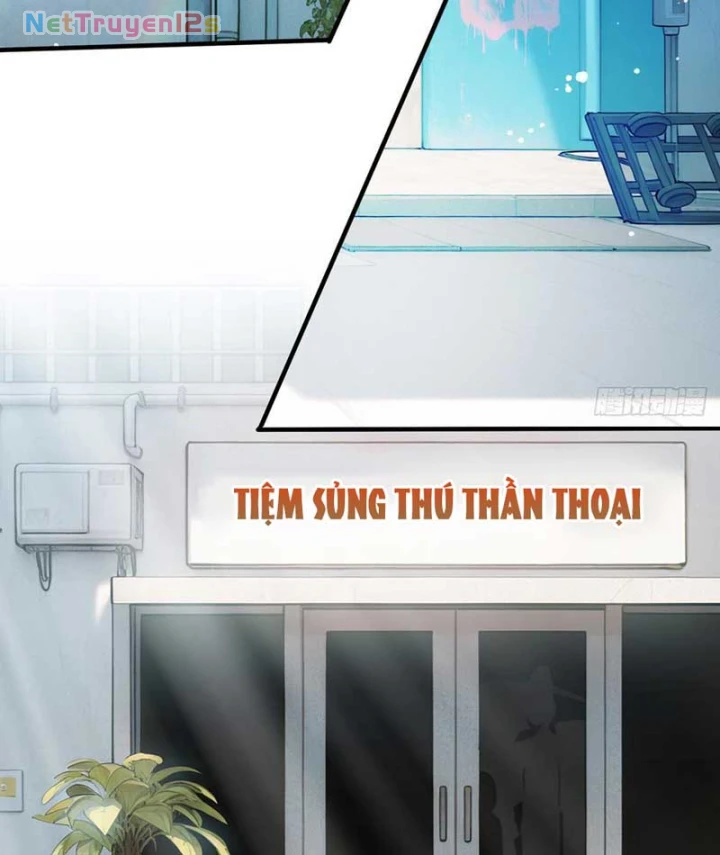 Ta Mở Ra Thời Đại Sủng Thú Thần Thoại Chapter 5 - 2