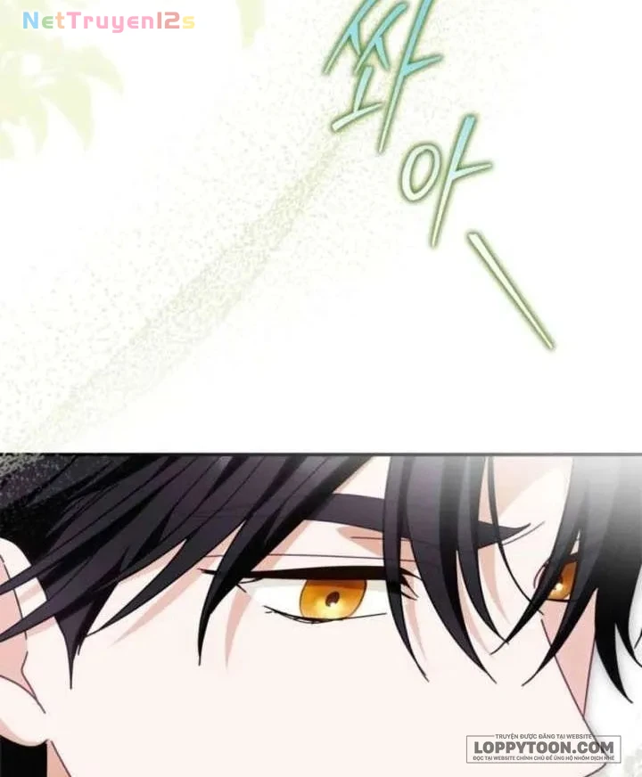 Công Tước Phu Nhân Đang Tìm Chồng Chapter 13 - 31
