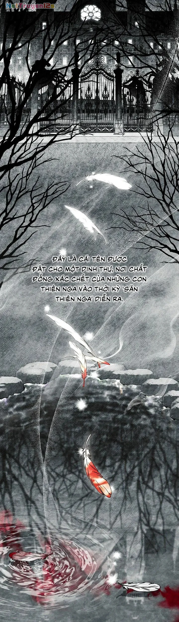 Mộ Thiên Nga Chapter 1 - 2