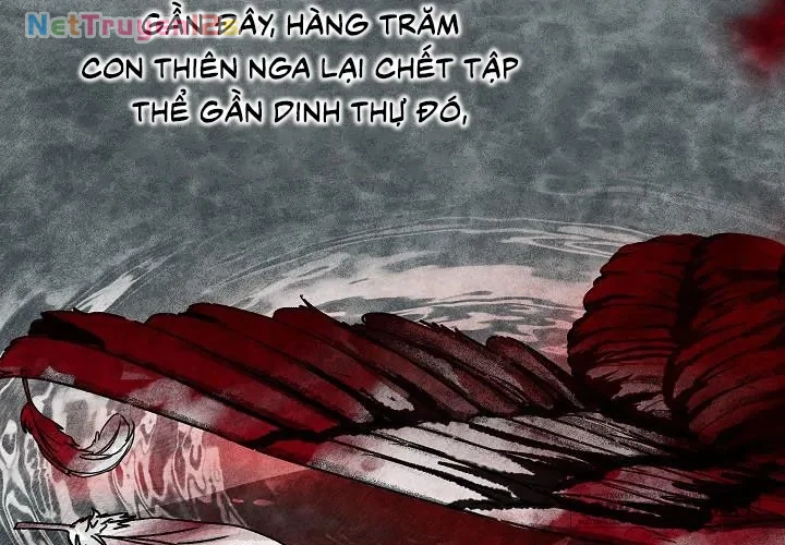 Mộ Thiên Nga Chapter 1 - 3