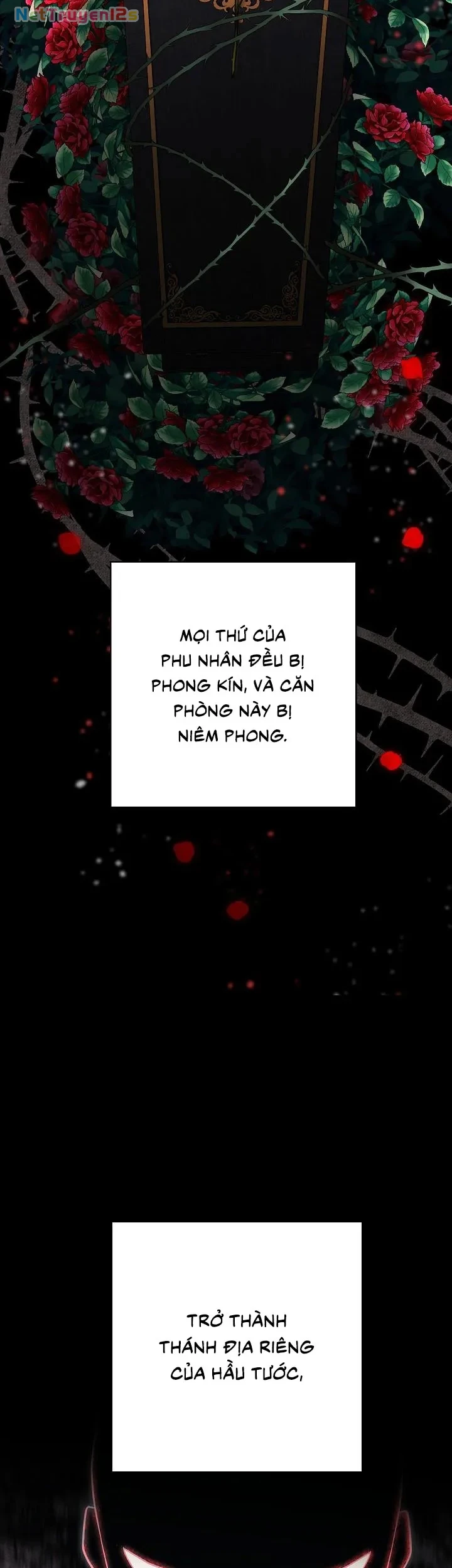 Mộ Thiên Nga Chapter 1 - 26