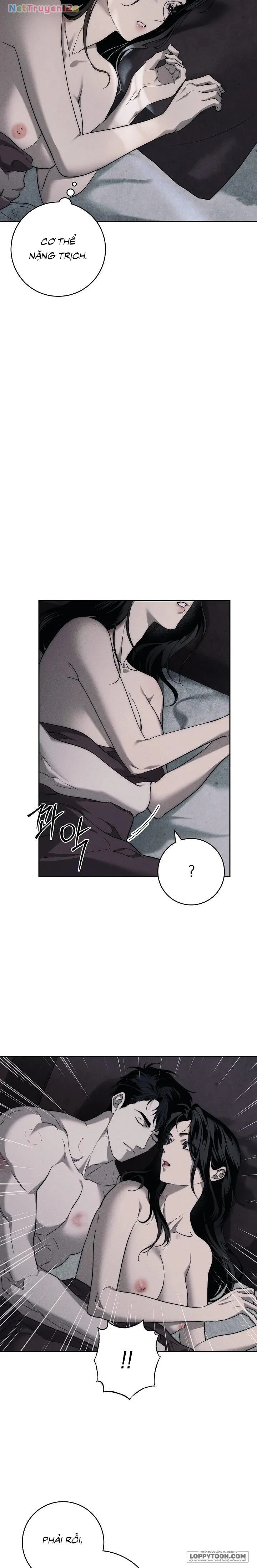 Mộ Thiên Nga Chapter 3 - 16