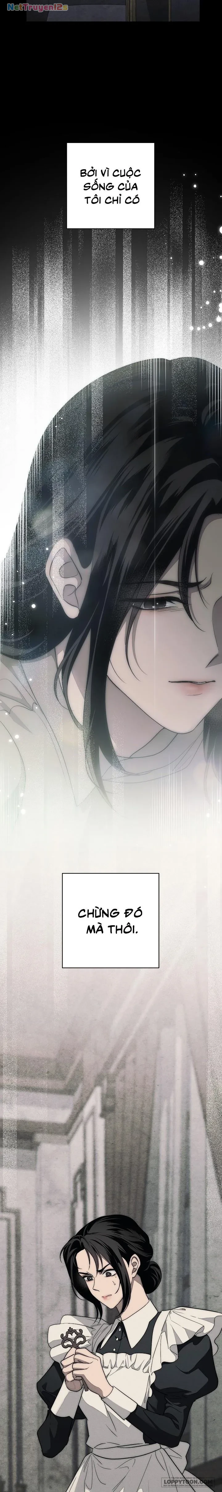 Mộ Thiên Nga Chapter 5 - 26