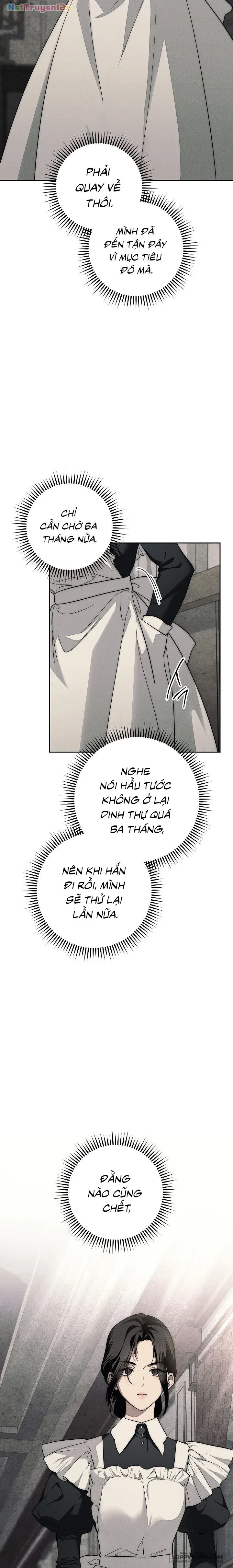 Mộ Thiên Nga Chapter 5 - 27