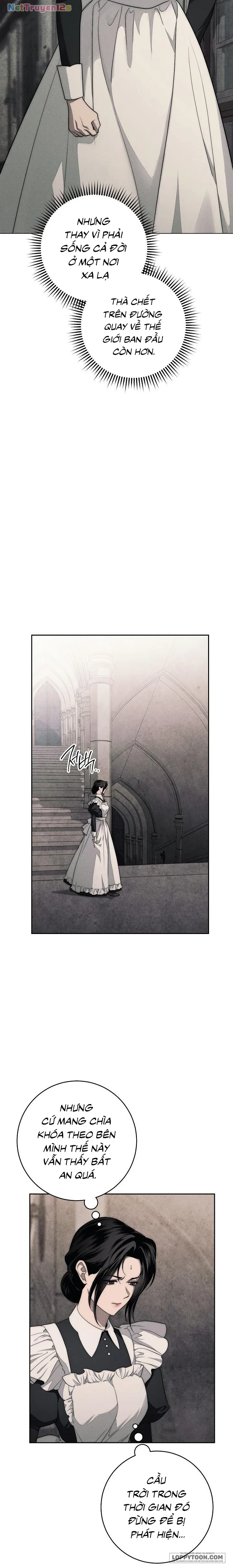 Mộ Thiên Nga Chapter 5 - 28