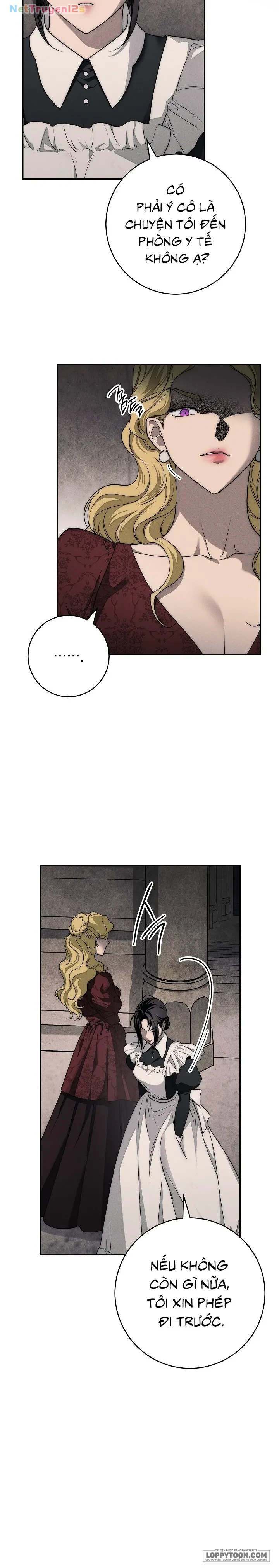 Mộ Thiên Nga Chapter 5 - 33