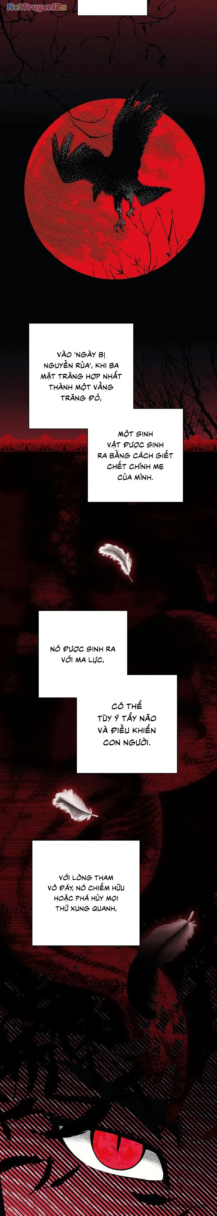 Mộ Thiên Nga Chapter 6 - 19