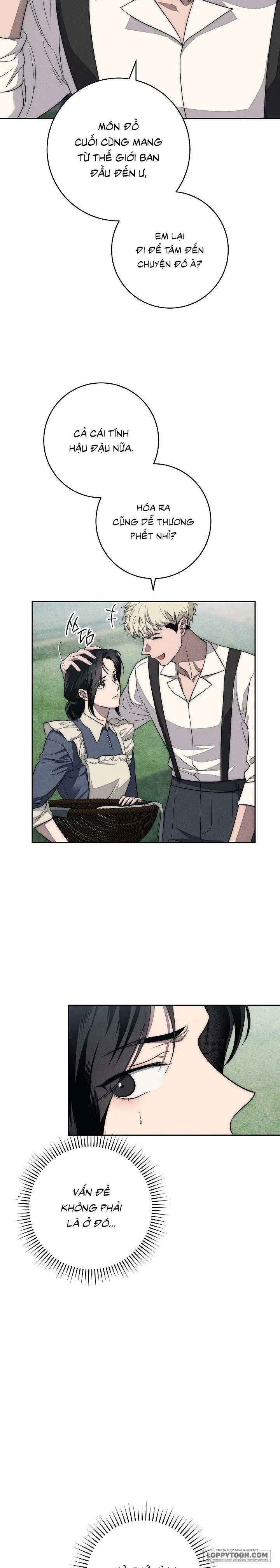 Mộ Thiên Nga Chapter 7 - 13