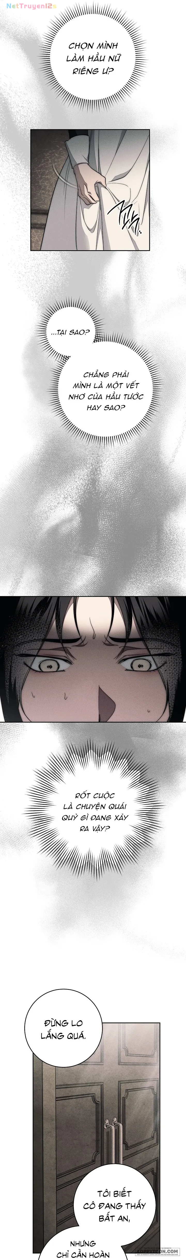 Mộ Thiên Nga Chapter 8 - 45