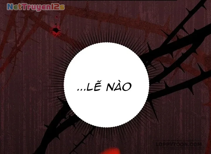 Mộ Thiên Nga Chapter 8 - 52