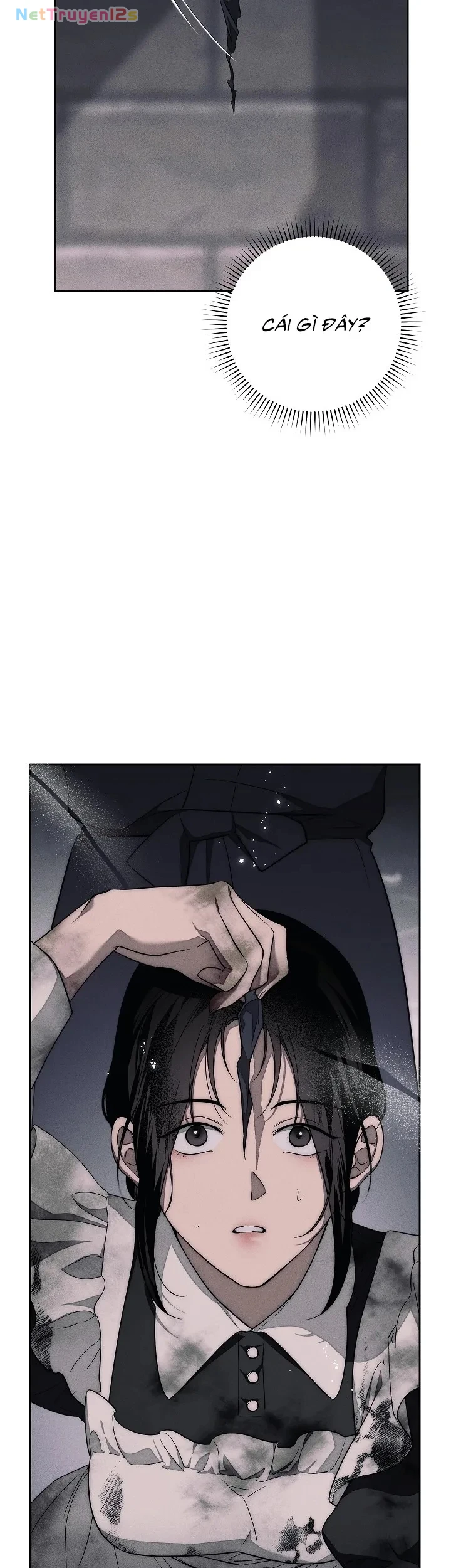 Mộ Thiên Nga Chapter 9 - 10