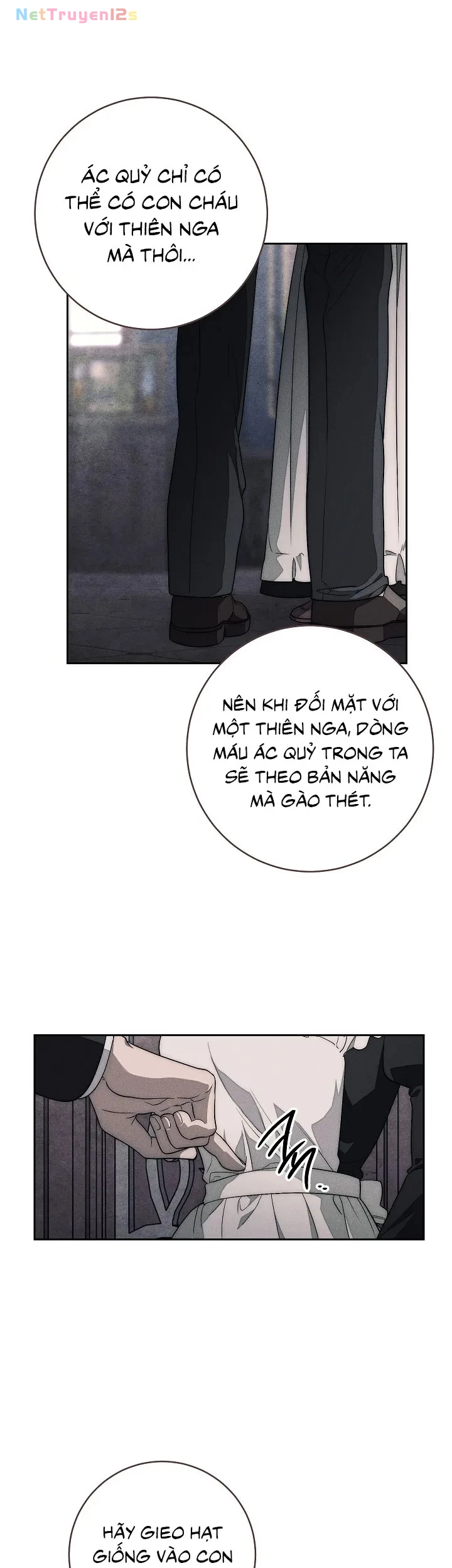 Mộ Thiên Nga Chapter 10 - 10