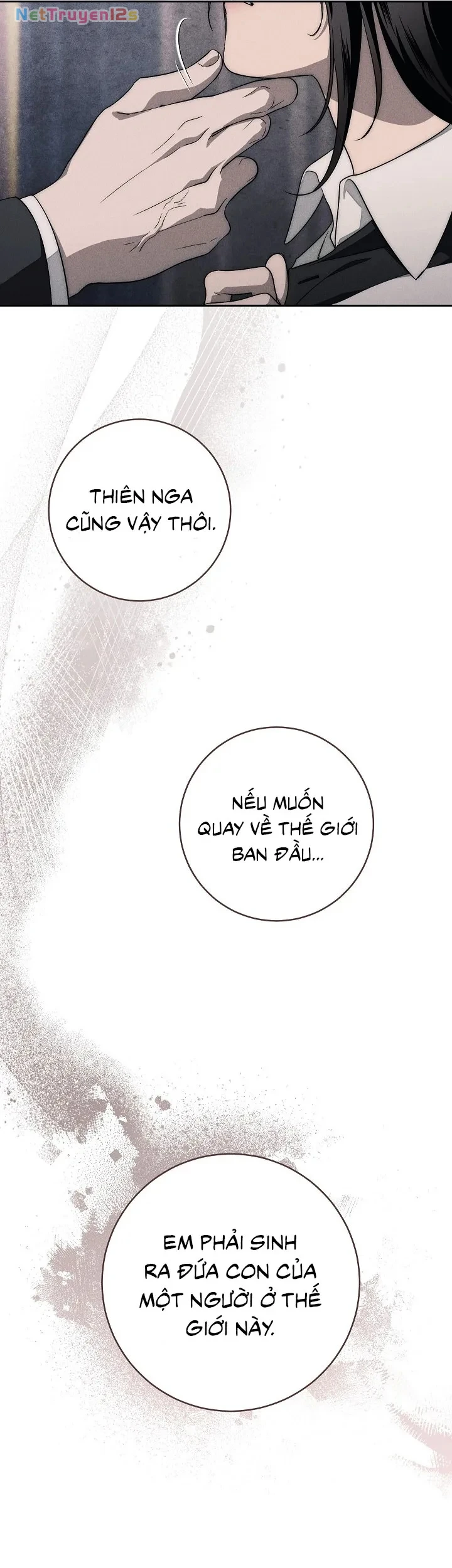 Mộ Thiên Nga Chapter 10 - 13