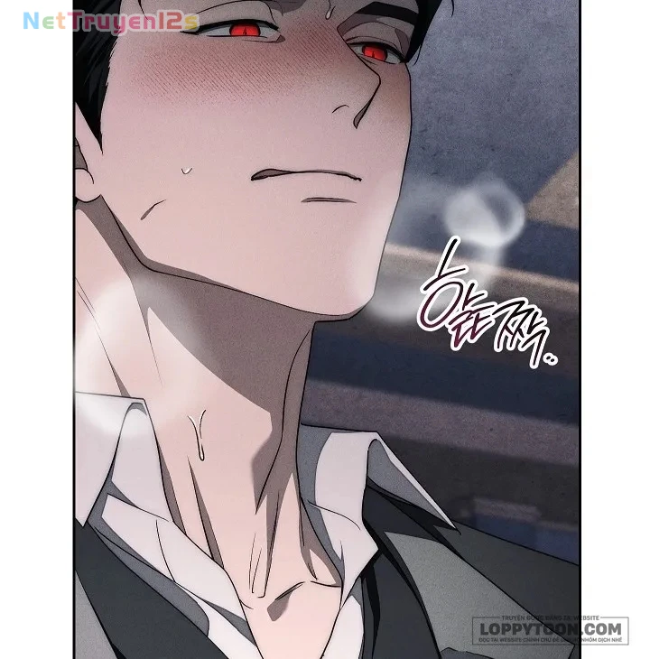 Mộ Thiên Nga Chapter 11 - 9