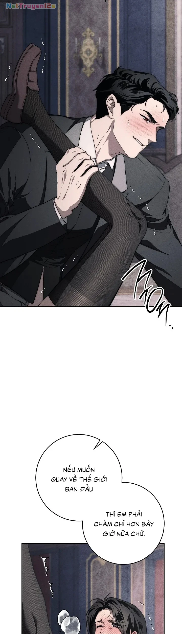 Mộ Thiên Nga Chapter 11 - 32