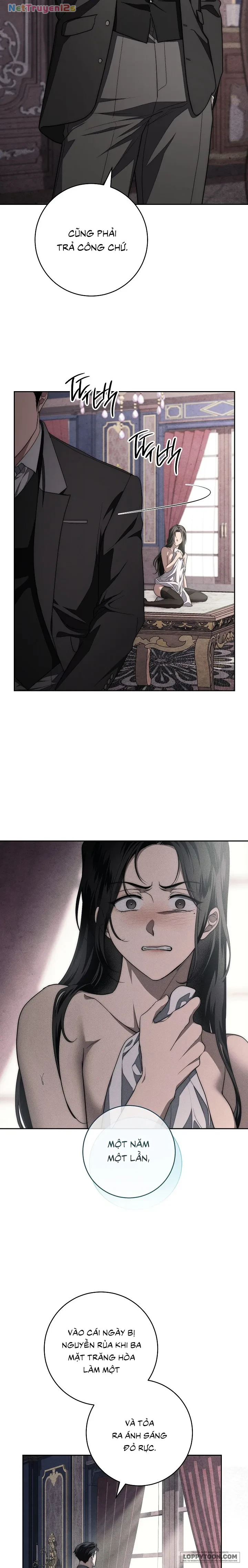 Mộ Thiên Nga Chapter 11 - 41