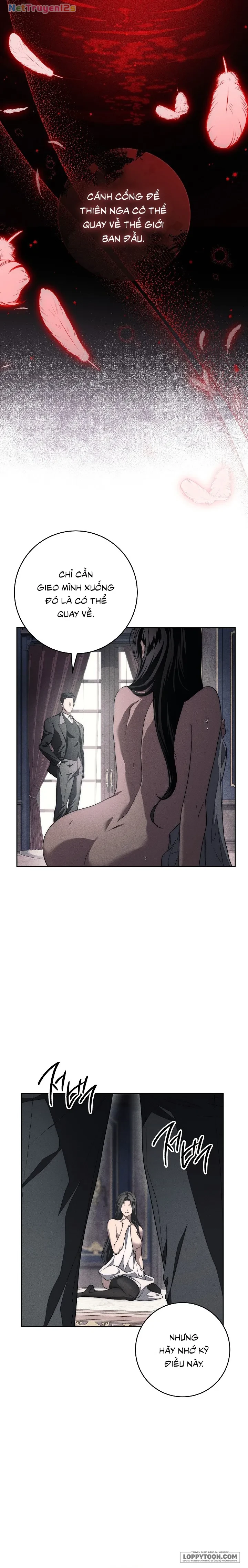 Mộ Thiên Nga Chapter 11 - 43