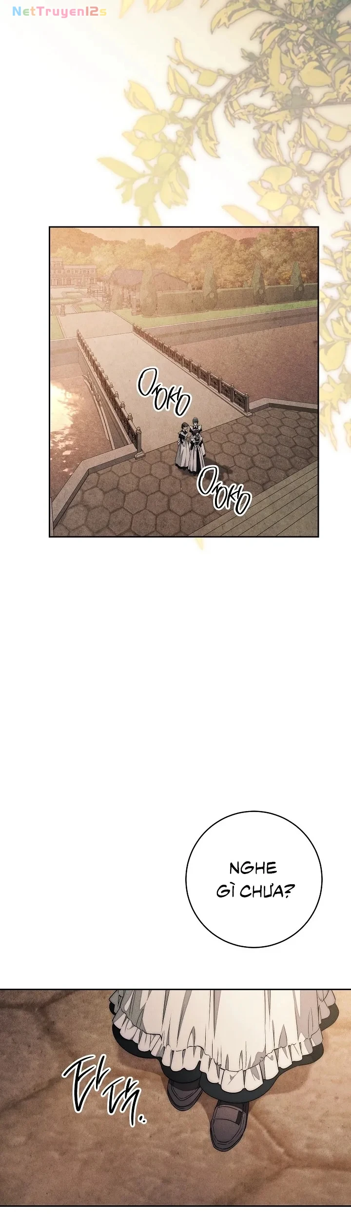 Mộ Thiên Nga Chapter 12 - 1