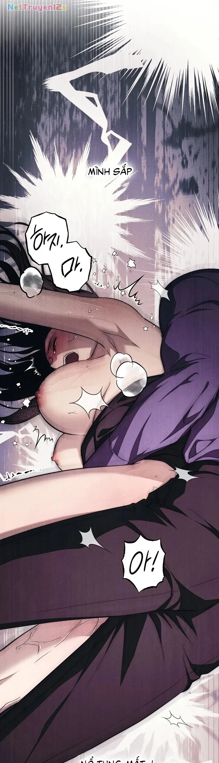 Mộ Thiên Nga Chapter 13 - 47