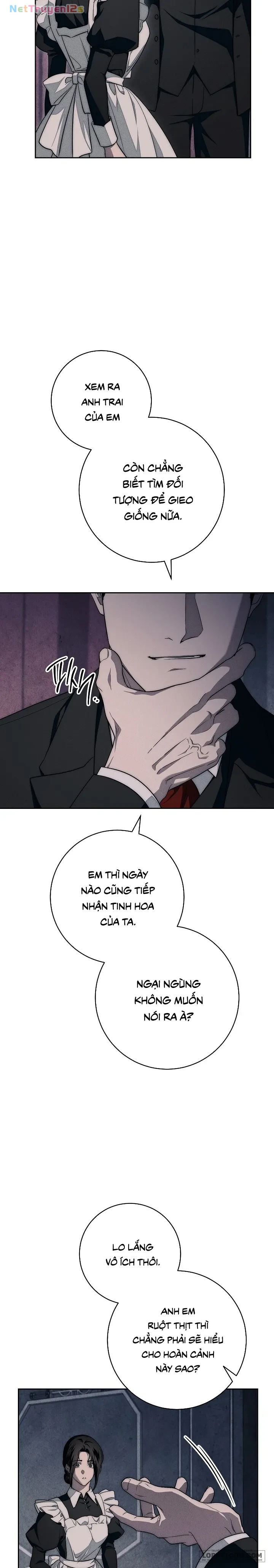 Mộ Thiên Nga Chapter 14 - 12